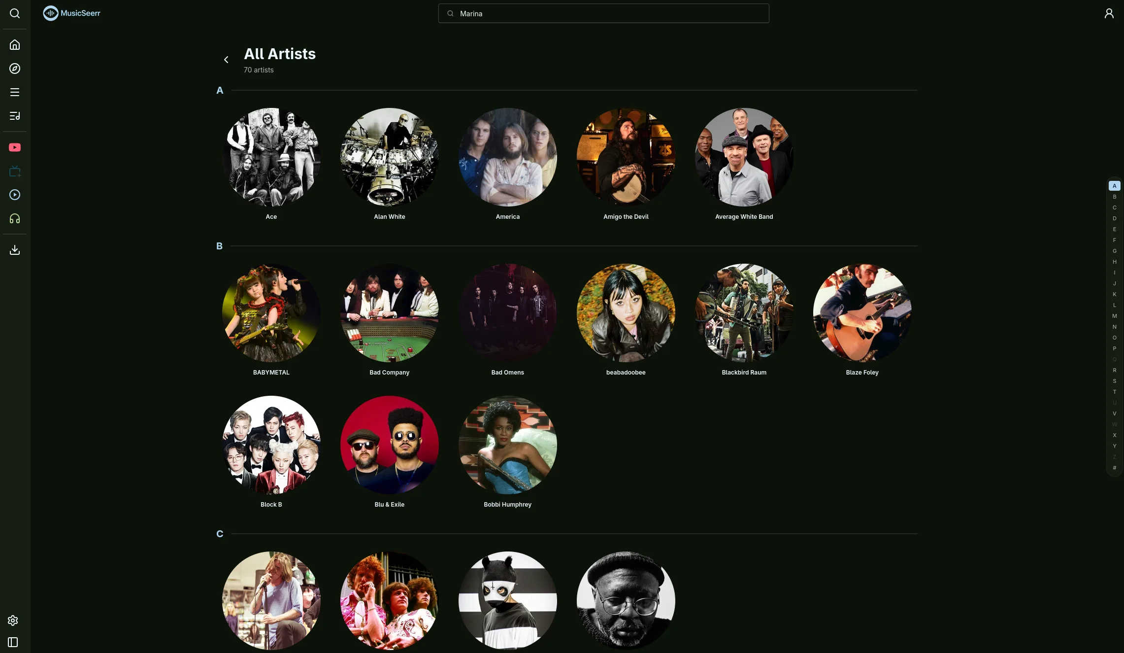 MusicSeerr artist grid browser